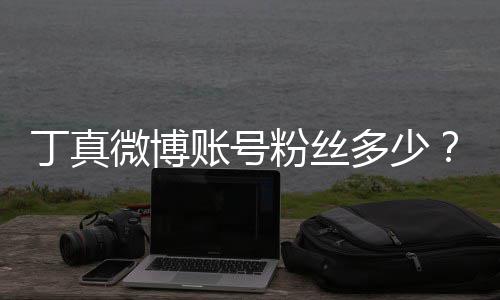 微博丁真多少约国相哥丁红小藏粉丝账号族网真签企真